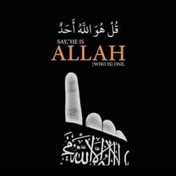 حیاء حیاتی
