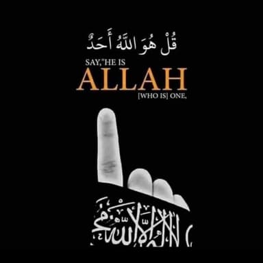 حیاء حیاتی
