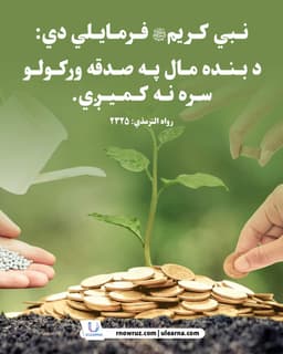 حکیم اللہ پشتون یار