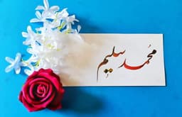Saleem Amarkhil