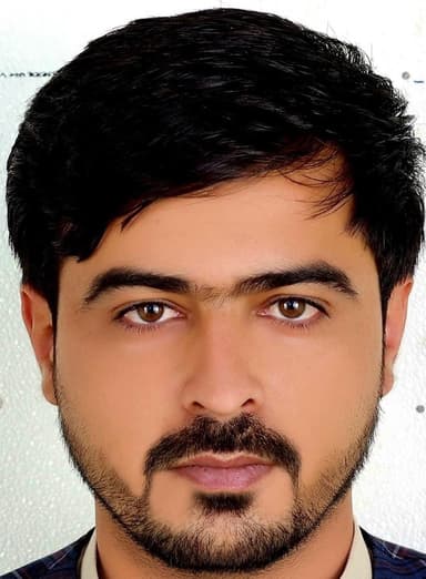 Hamayoun Malikzai