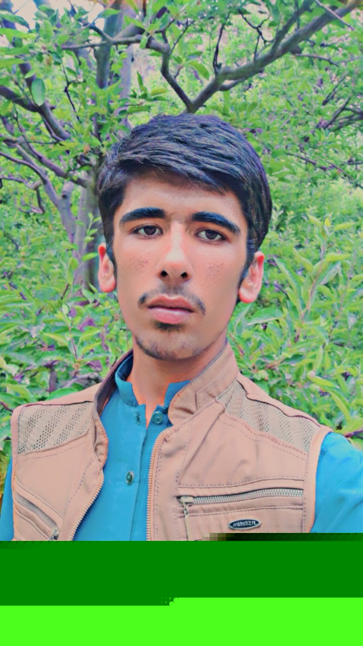 Farhad Wardak