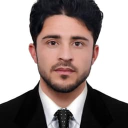 walid Mirzayian