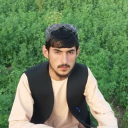 Shamsuddin Roshan