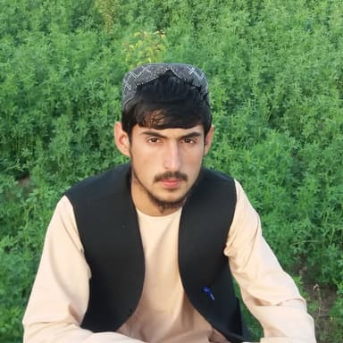Shamsuddin Roshan