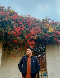 Mujeeb khan