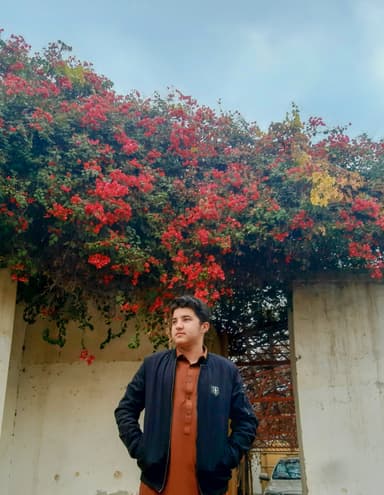 Mujeeb khan
