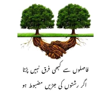 Saidullah Sailani