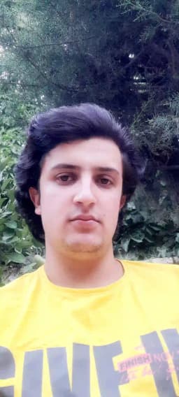 Shahin Amini