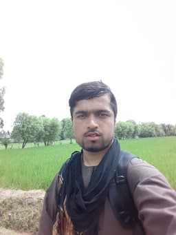 Wali Ajeez