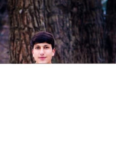 Safiullah Hamdard