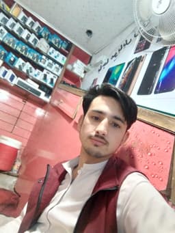 Wali Safi