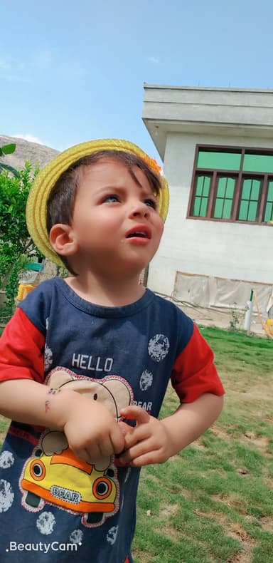 Zia Safi