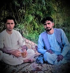Maiwand Hotak