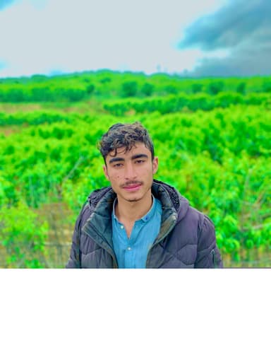 M Umer